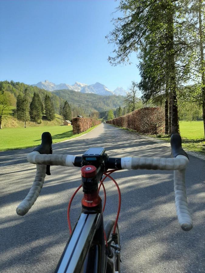 Hirschnest Holiday home Sankt Pankraz