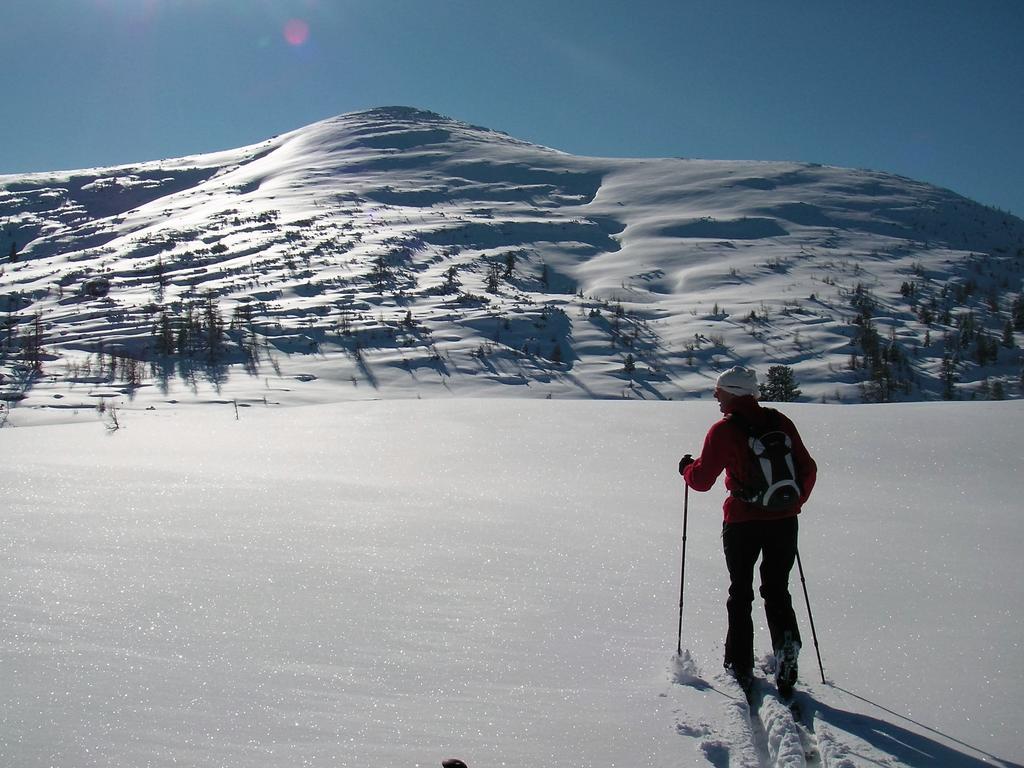 Hirschnest Holiday home Sankt Pankraz