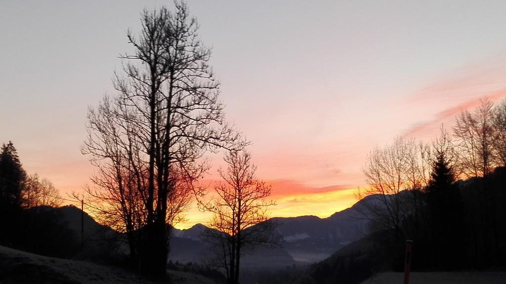 Hirschnest Holiday home Sankt Pankraz