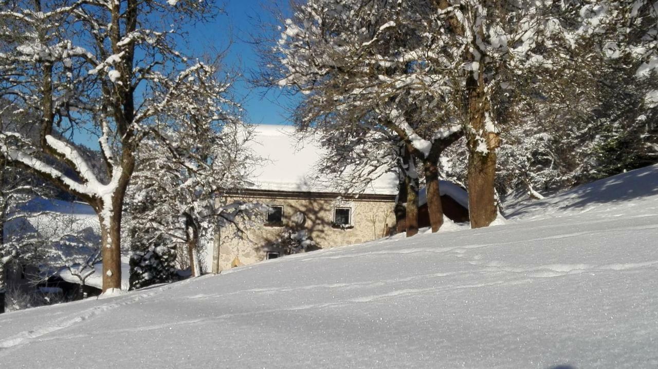 Holiday home Hirschnest