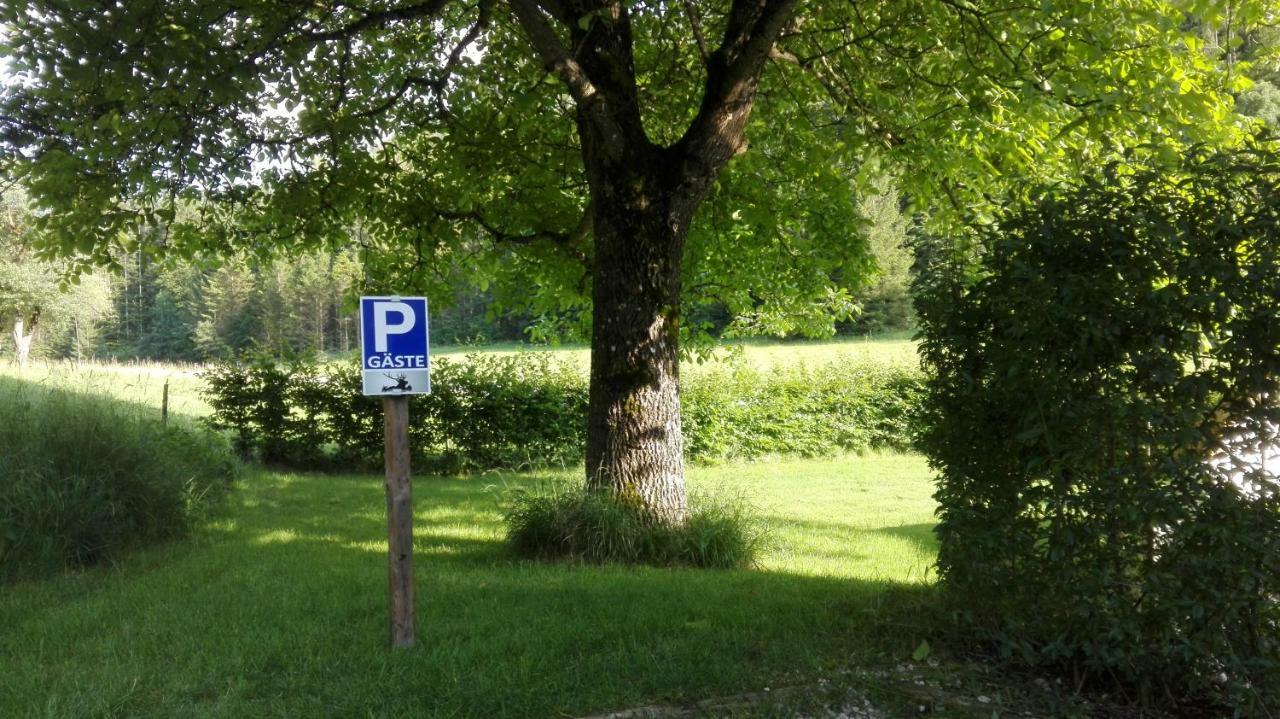 Hirschnest