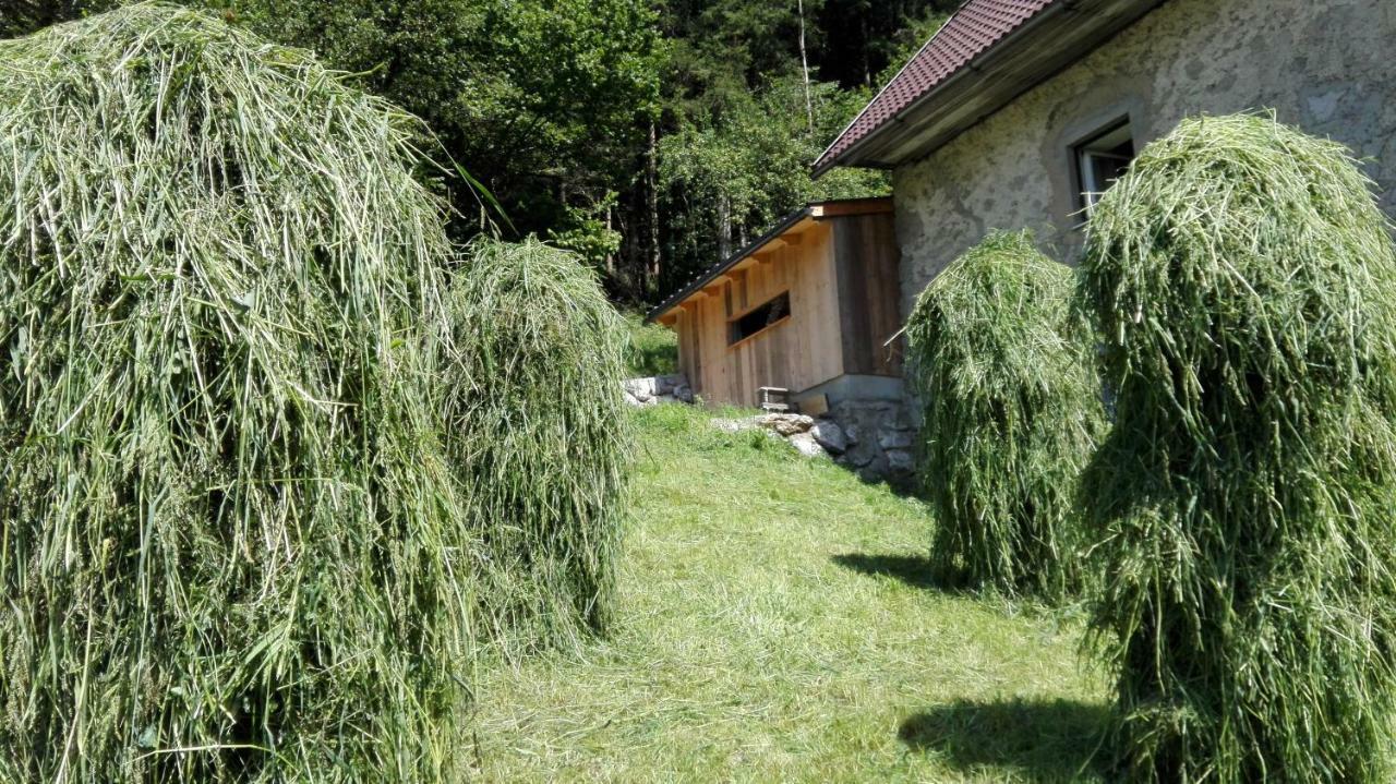 Hirschnest Holiday home *