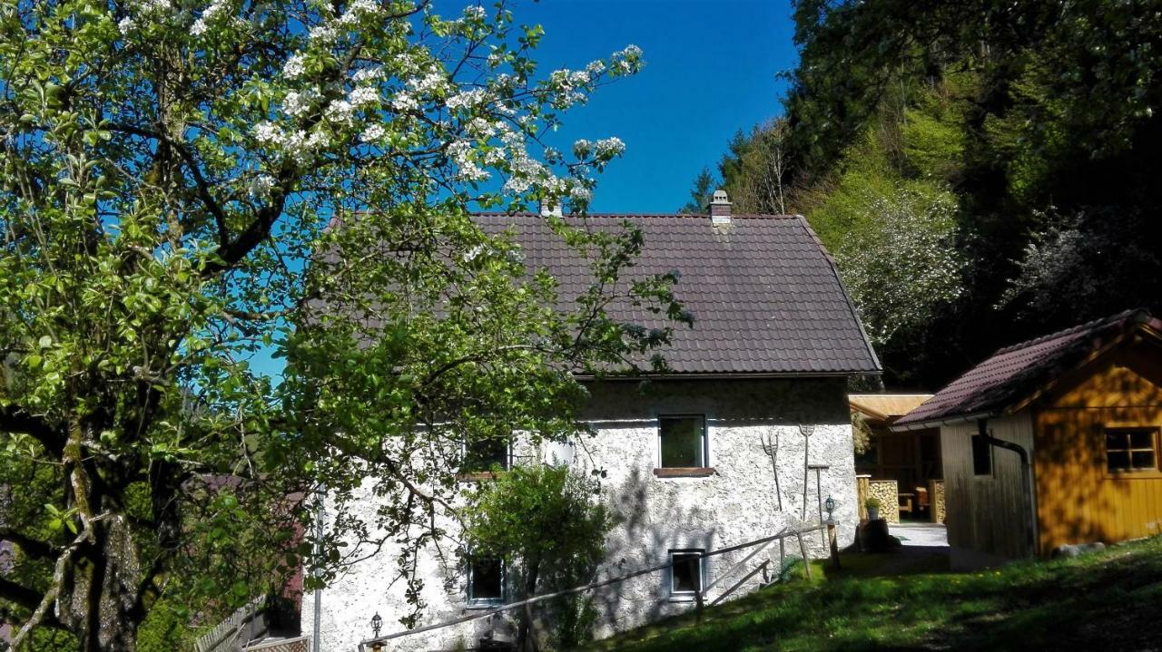 Hirschnest *