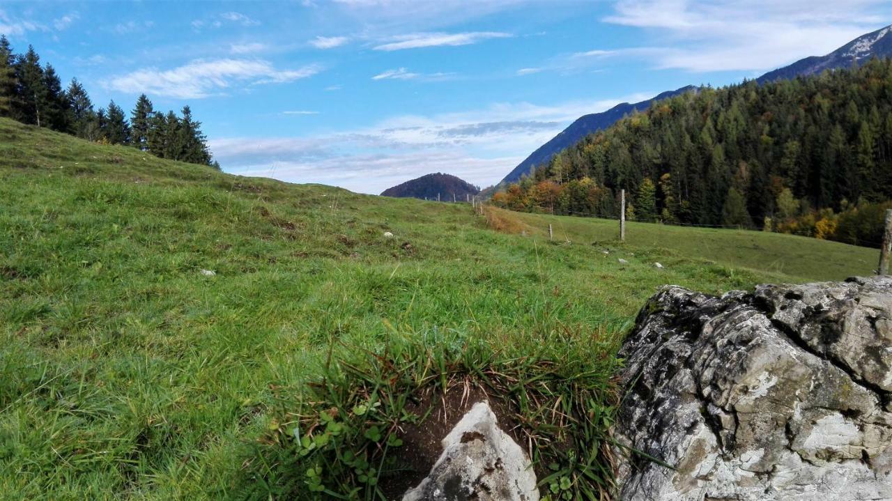 Hirschnest Holiday home Sankt Pankraz