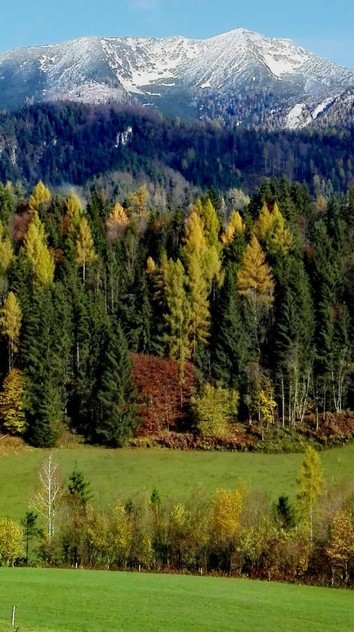 Hirschnest Holiday home Sankt Pankraz
